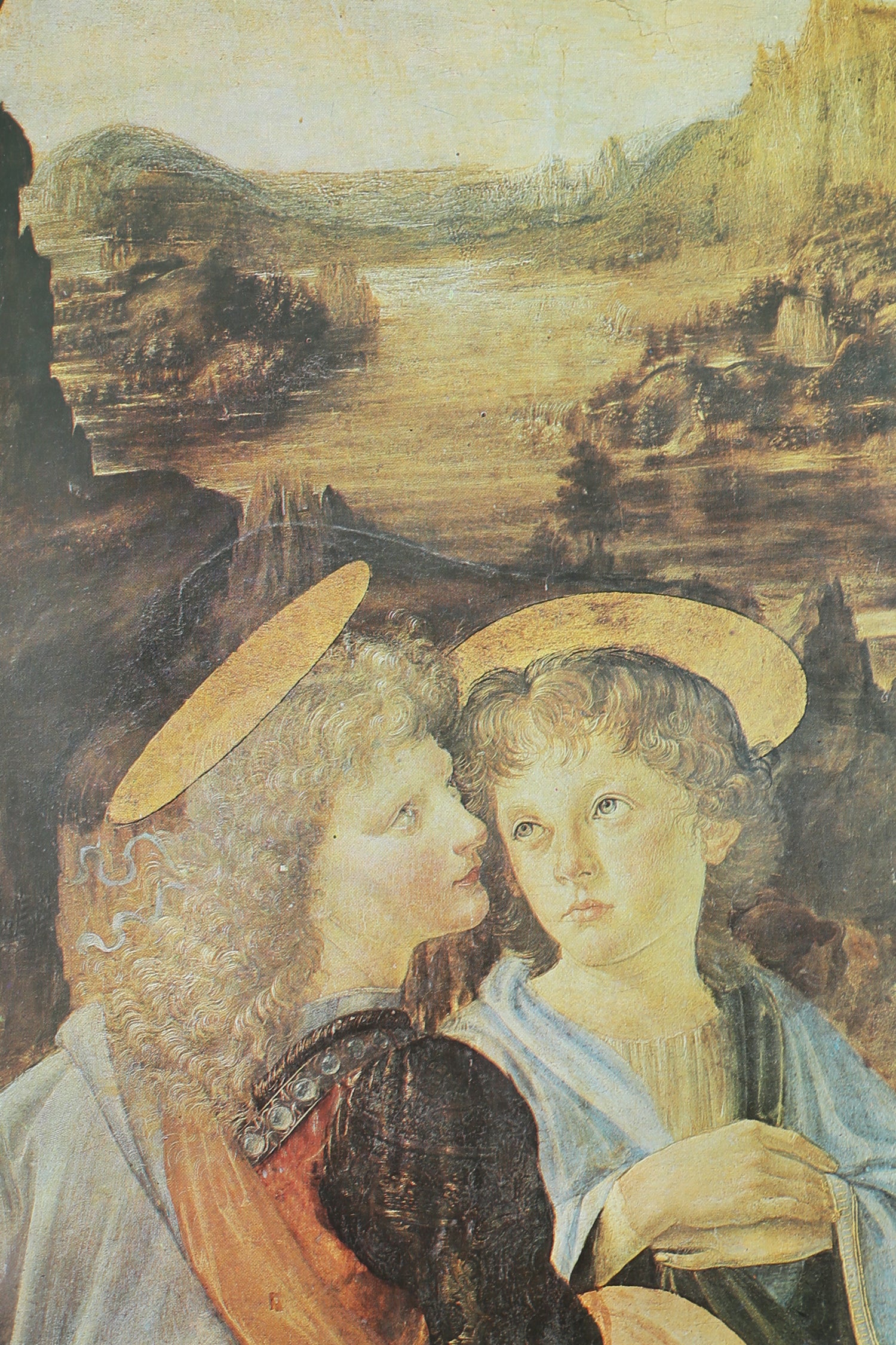 Leonardo Book