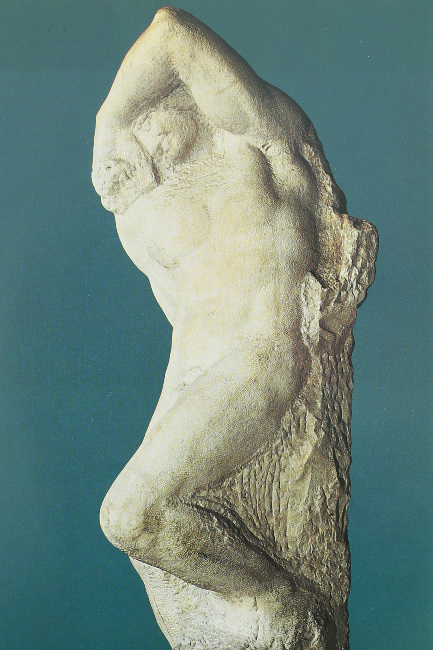 Michelangelo Book