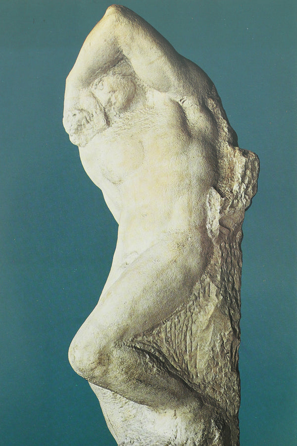 Michelangelo Book