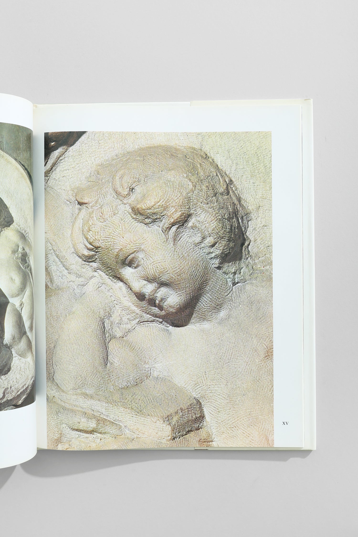 Michelangelo Book