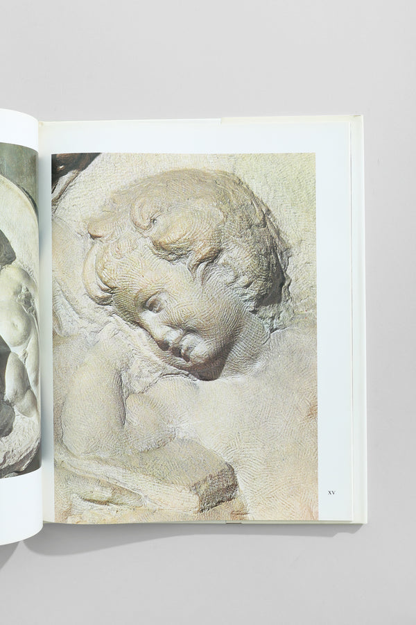 Michelangelo Book