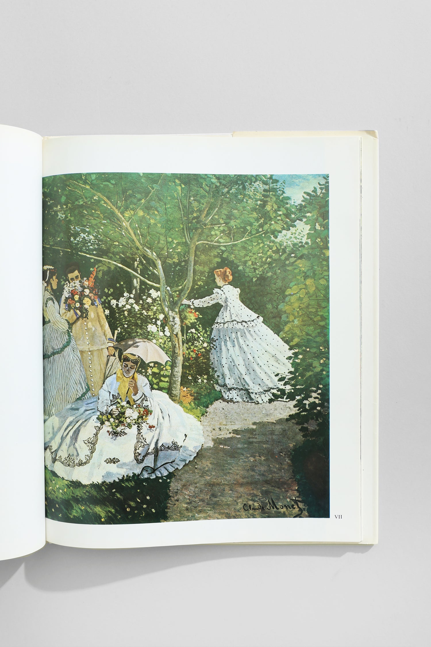 Monet Book