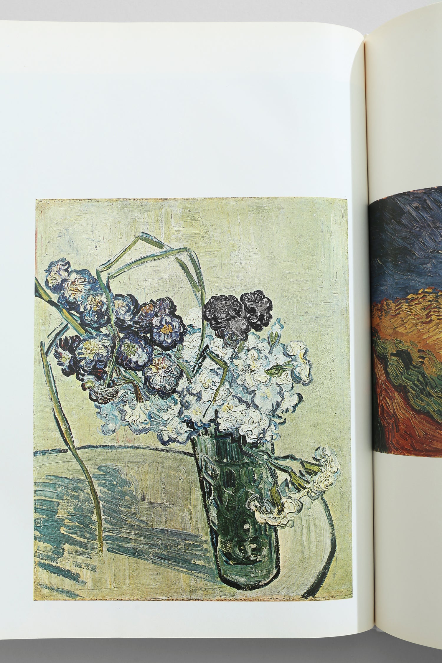 Van Gogh Book