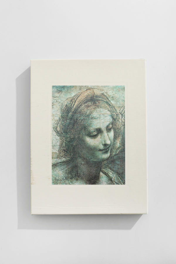 The World of Leonardo Book
