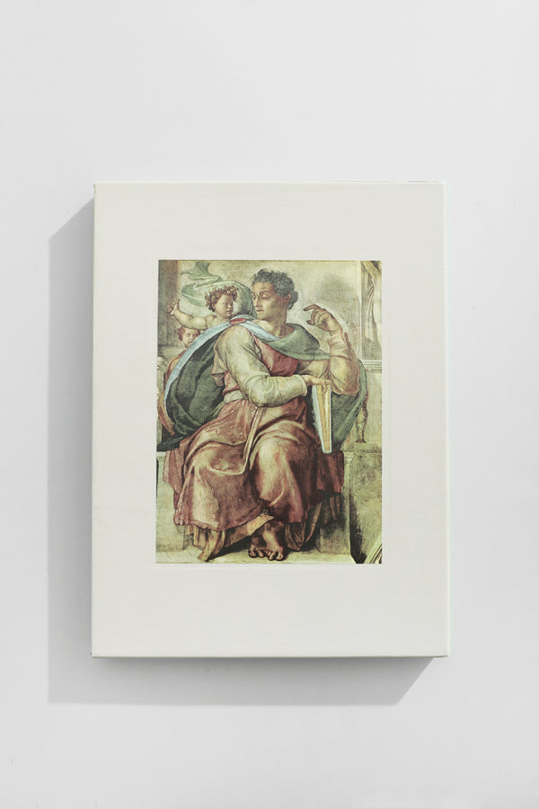 The World of Michelangelo Book
