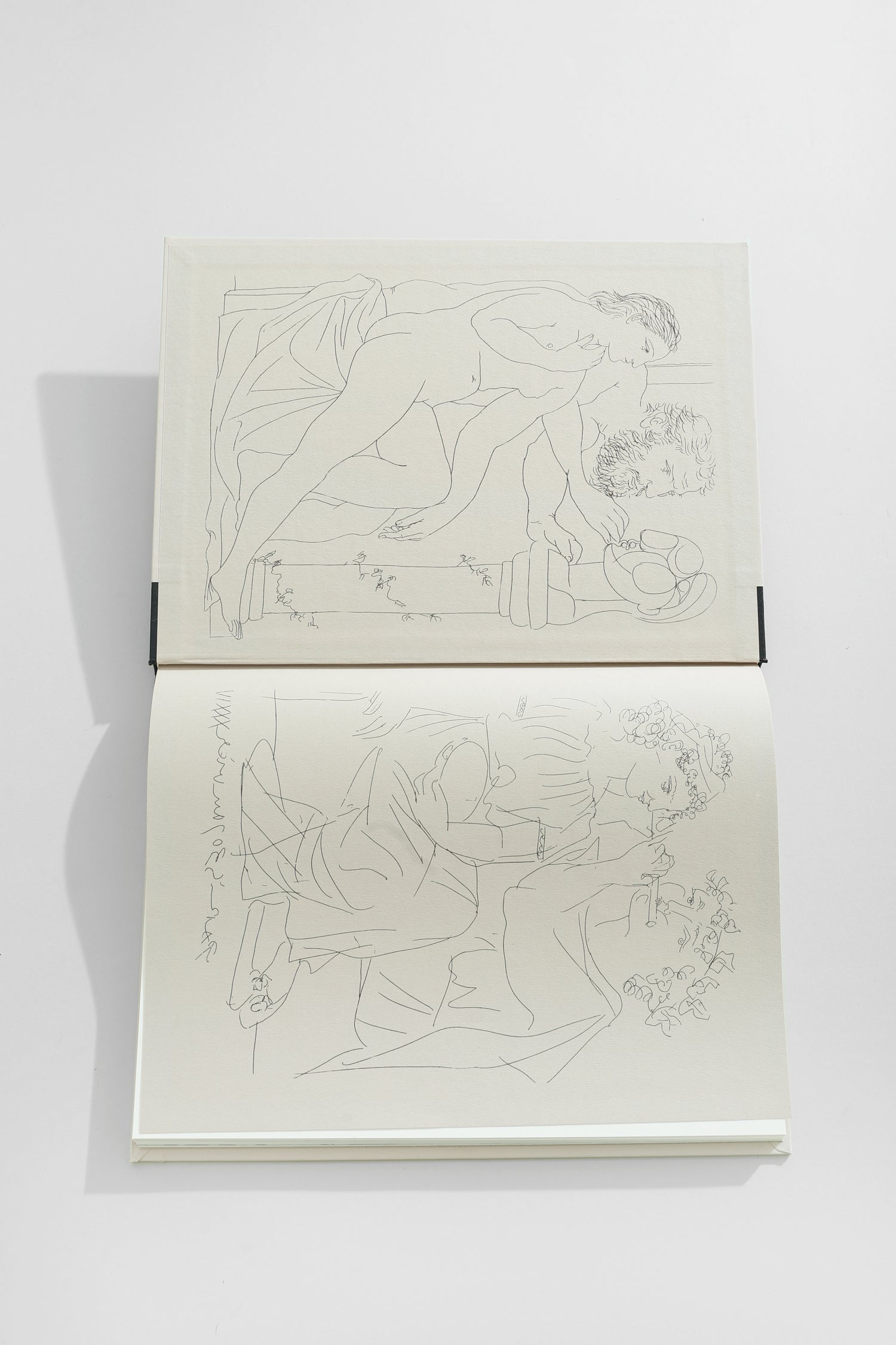 The World of Picasso Book