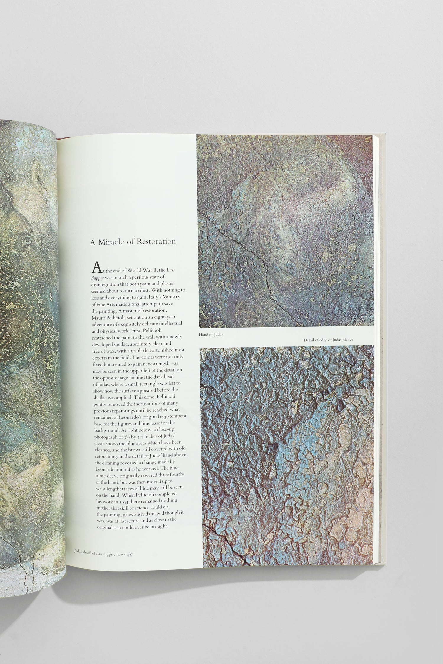 The World of Leonardo Book