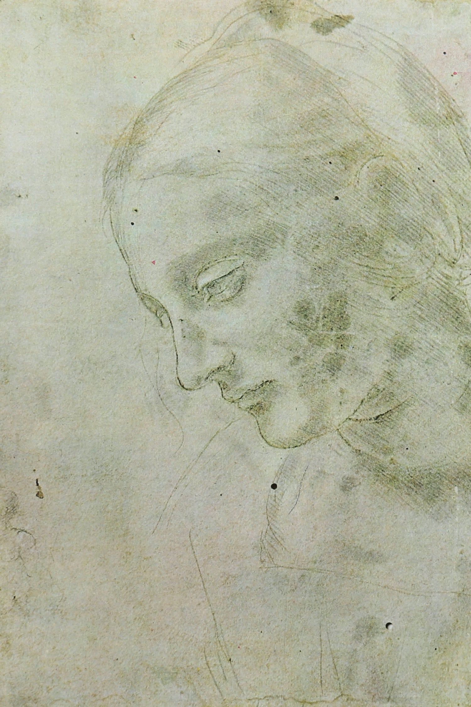 The World of Leonardo Book