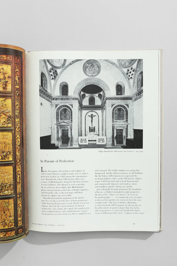 The World of Michelangelo Book