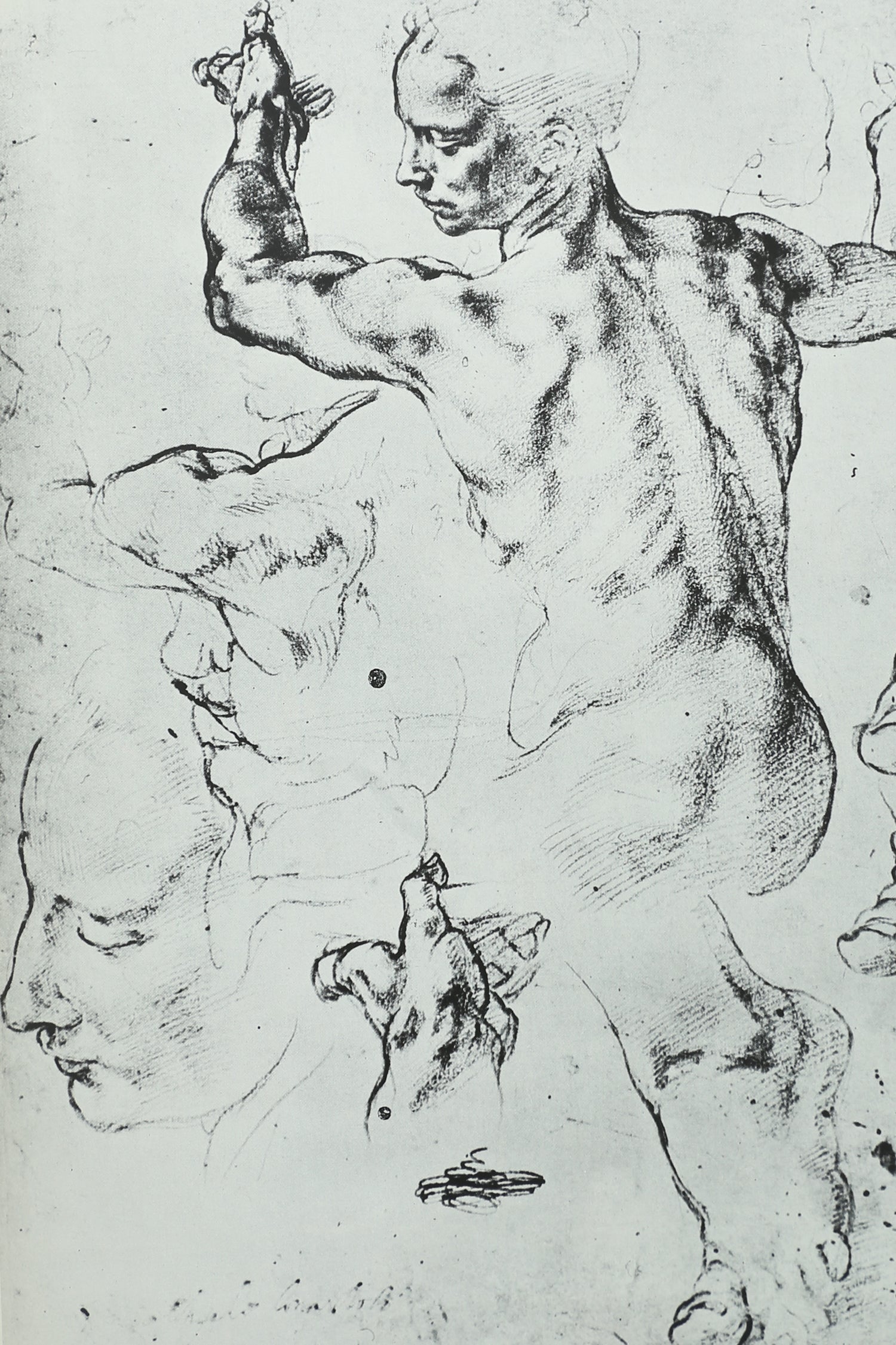 The World of Michelangelo Book