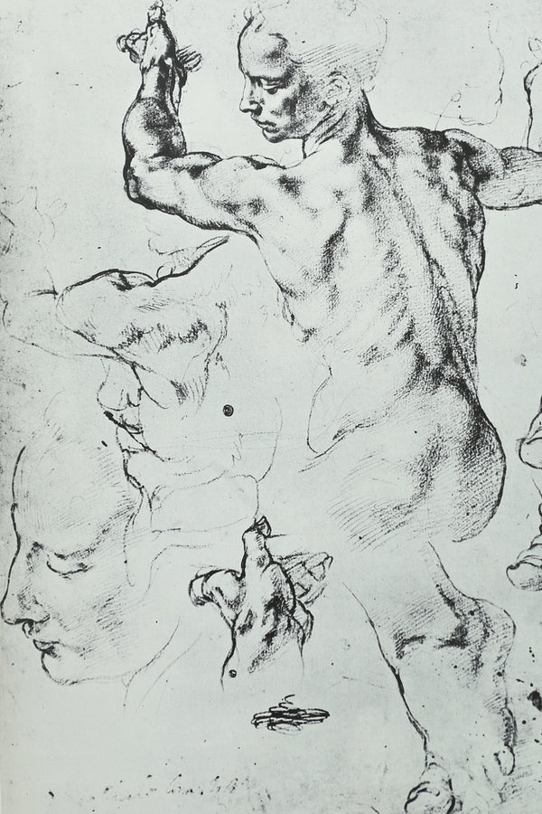 The World of Michelangelo Book