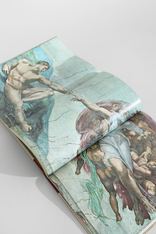The World of Michelangelo Book