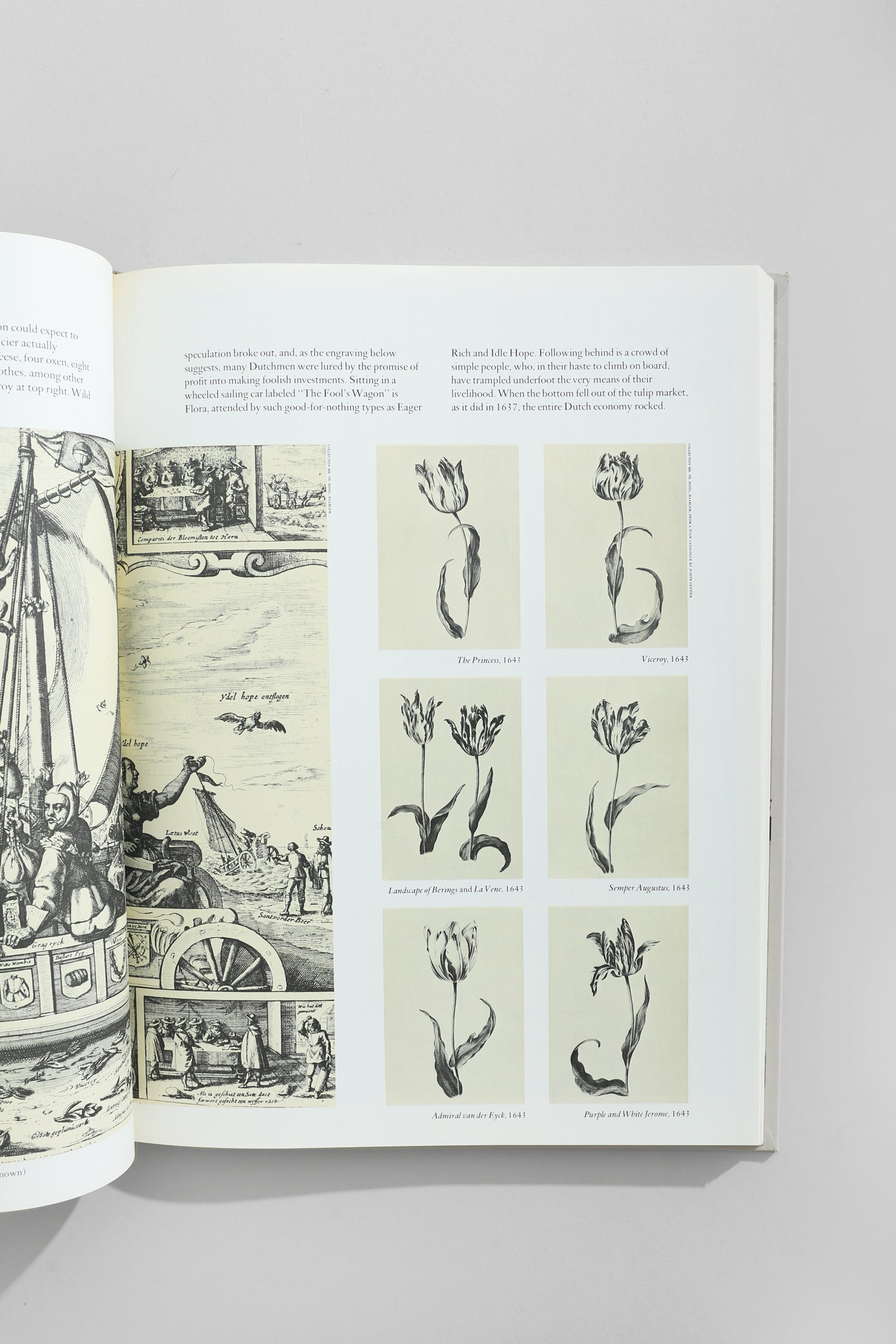 The World of Vermeer Book
