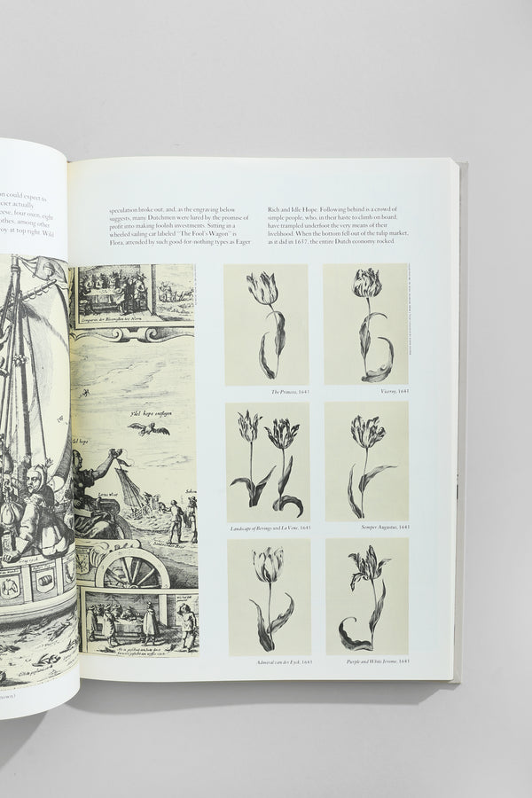 The World of Vermeer Book