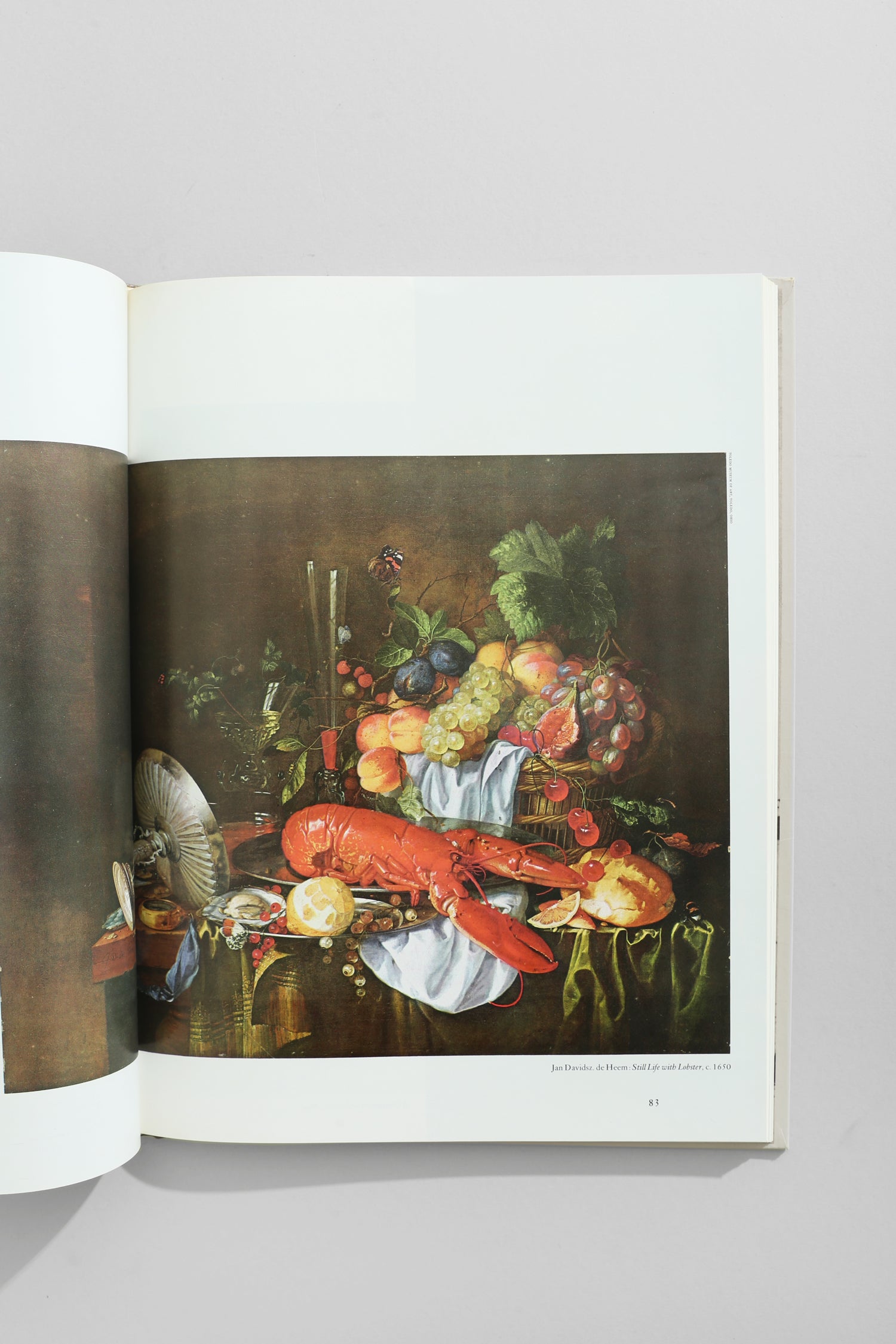 The World of Vermeer Book