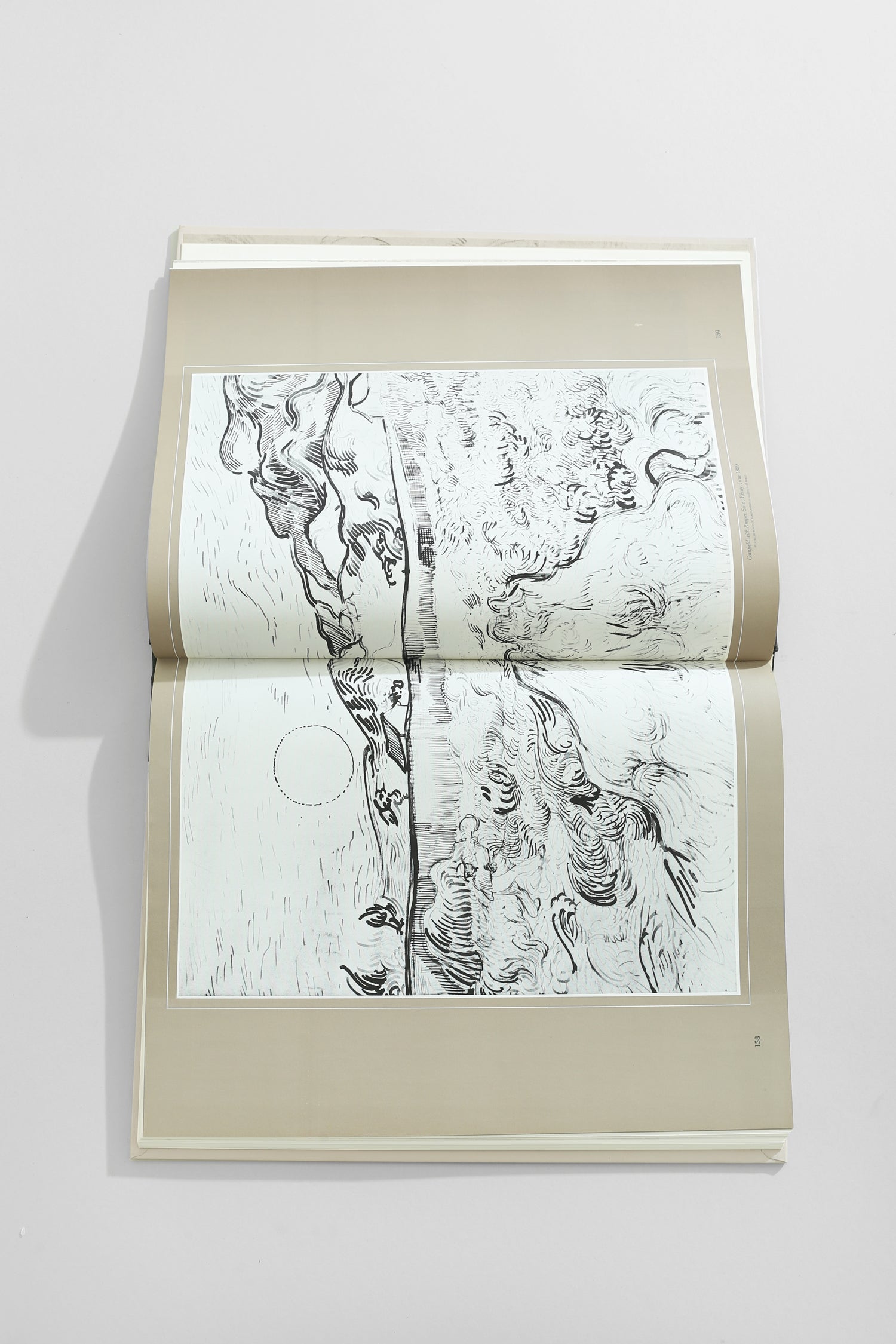The World of Van Gogh Book