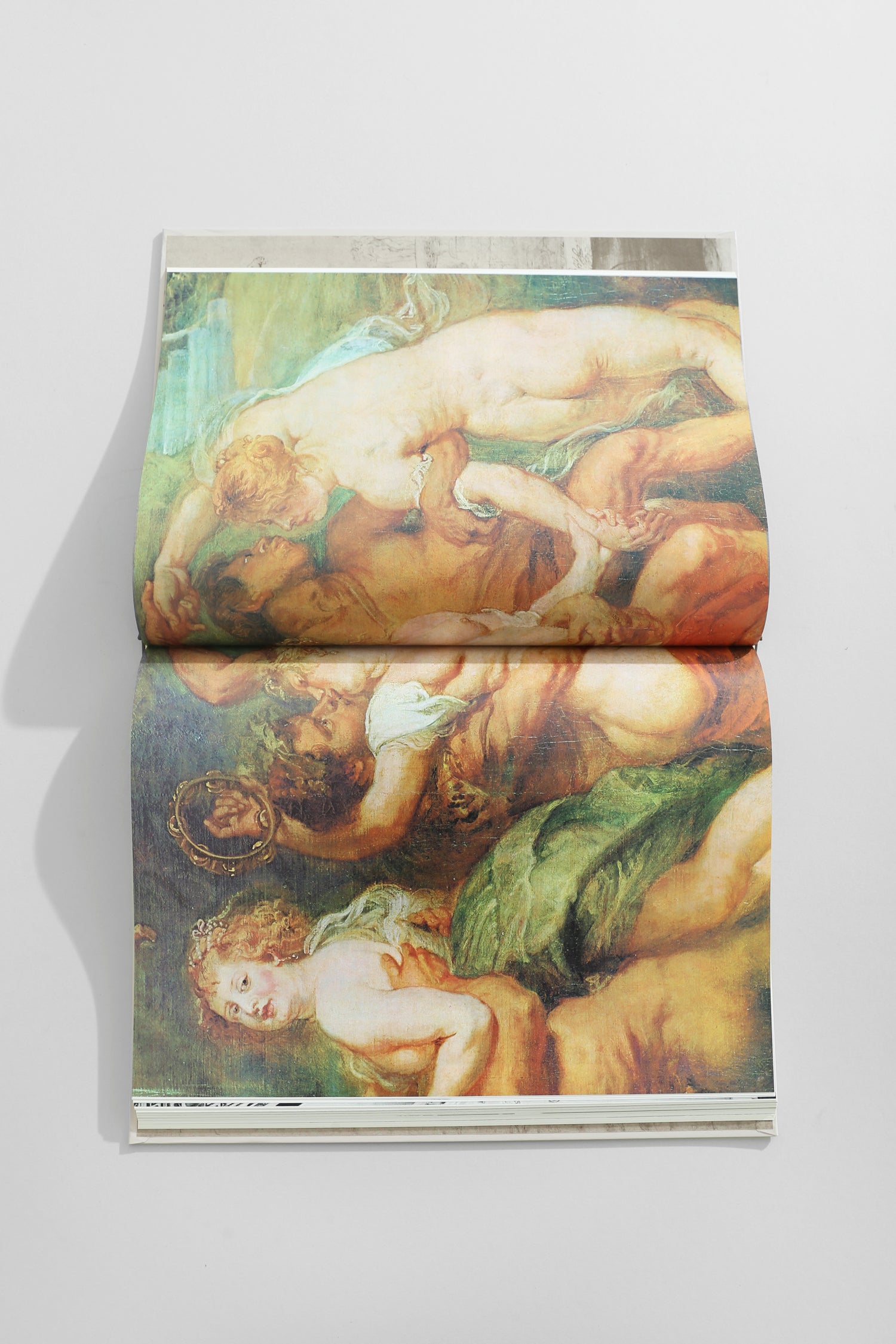 The World of Rubens Book