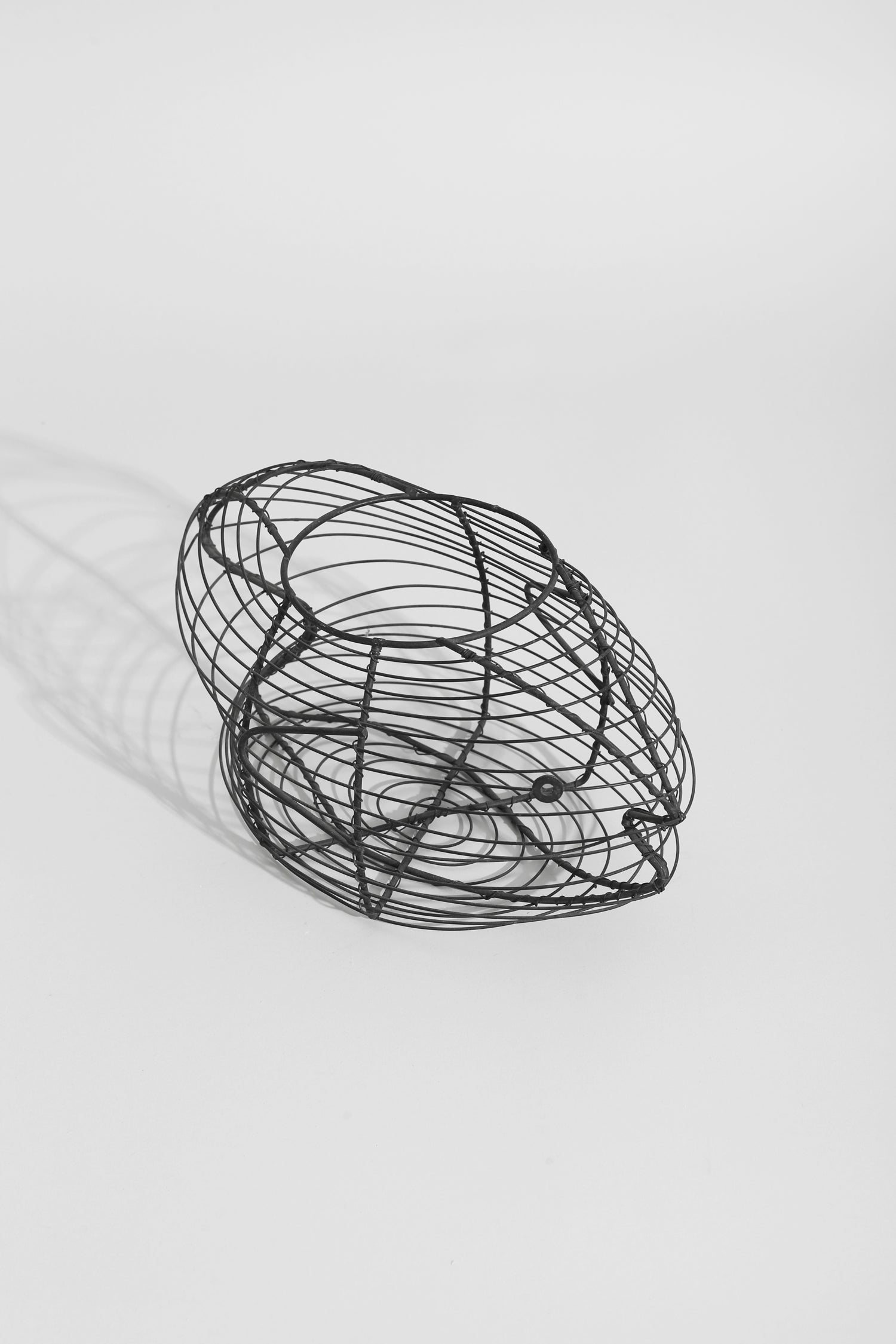 Wire Fish Sculpture