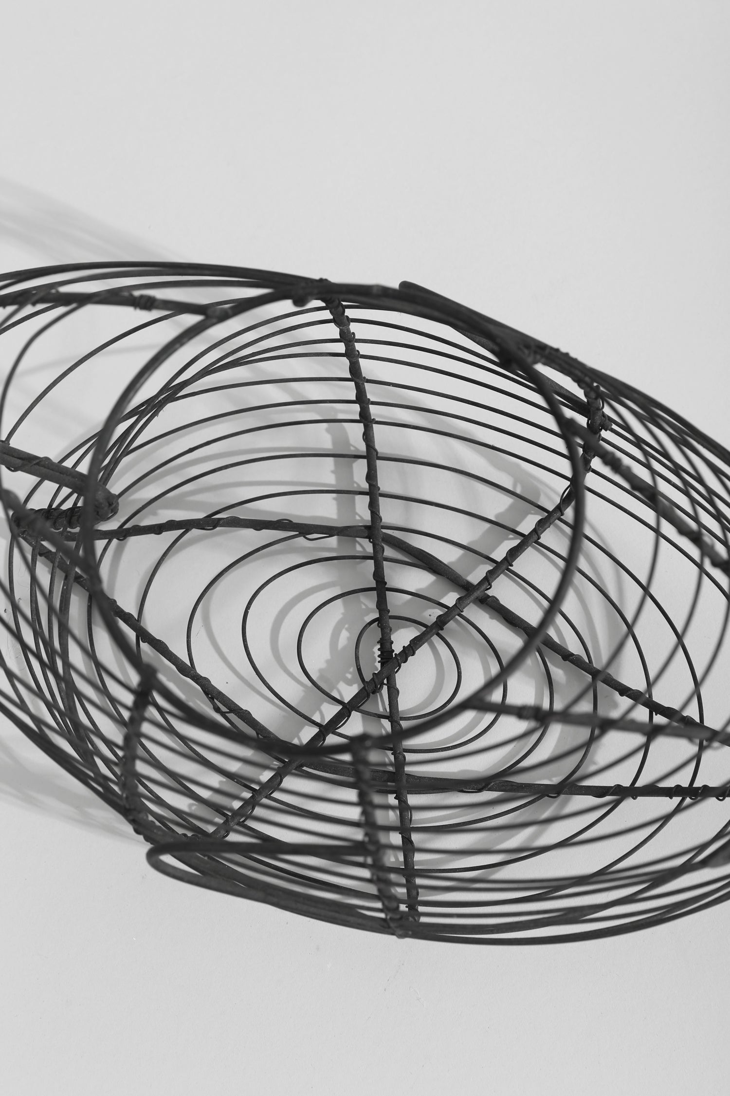 Wire Fish Sculpture