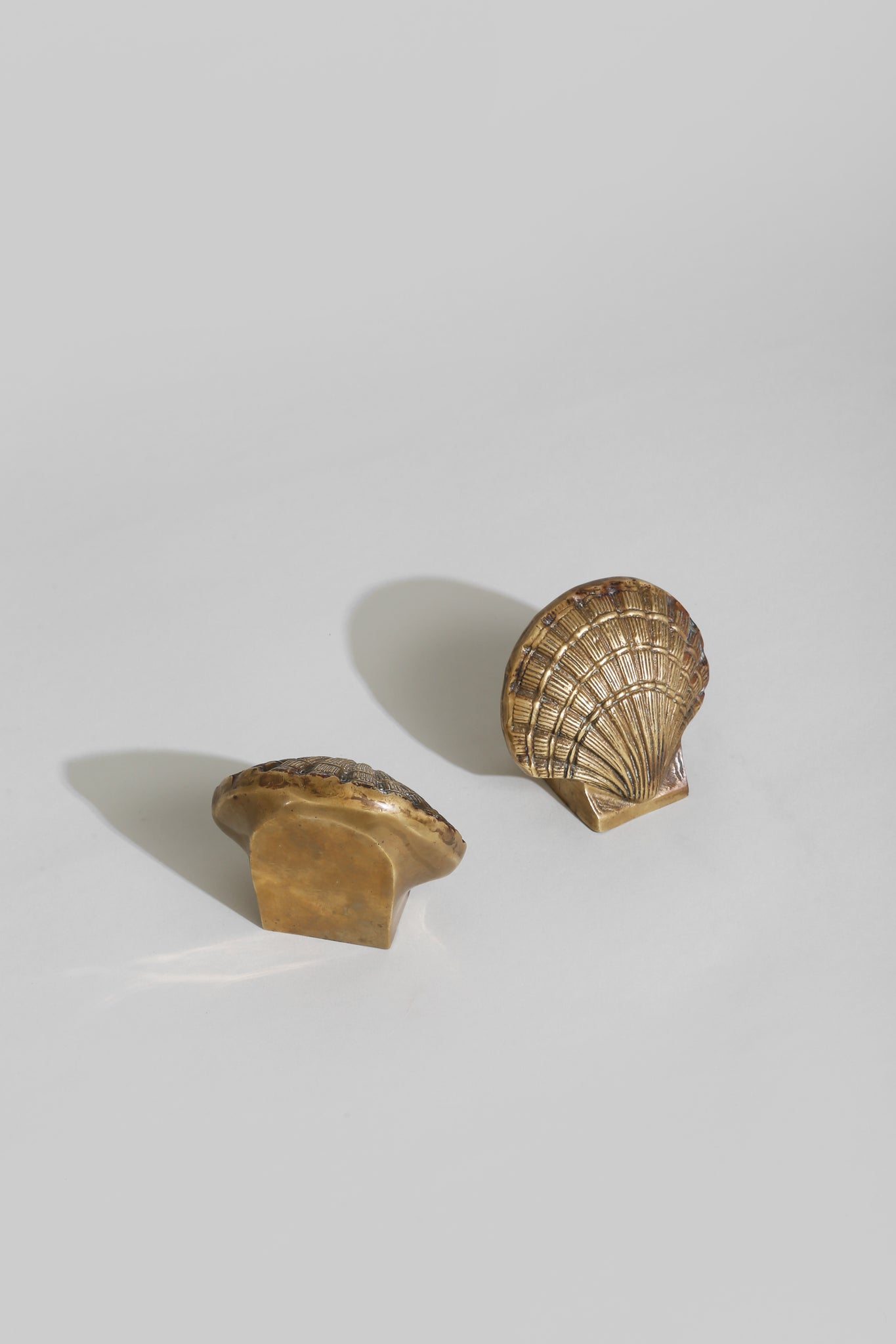 Brass Shell Bookends