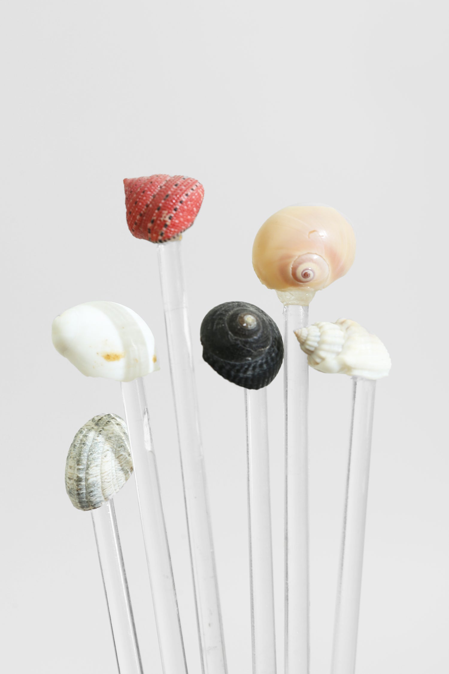 Shell Swizzle Set