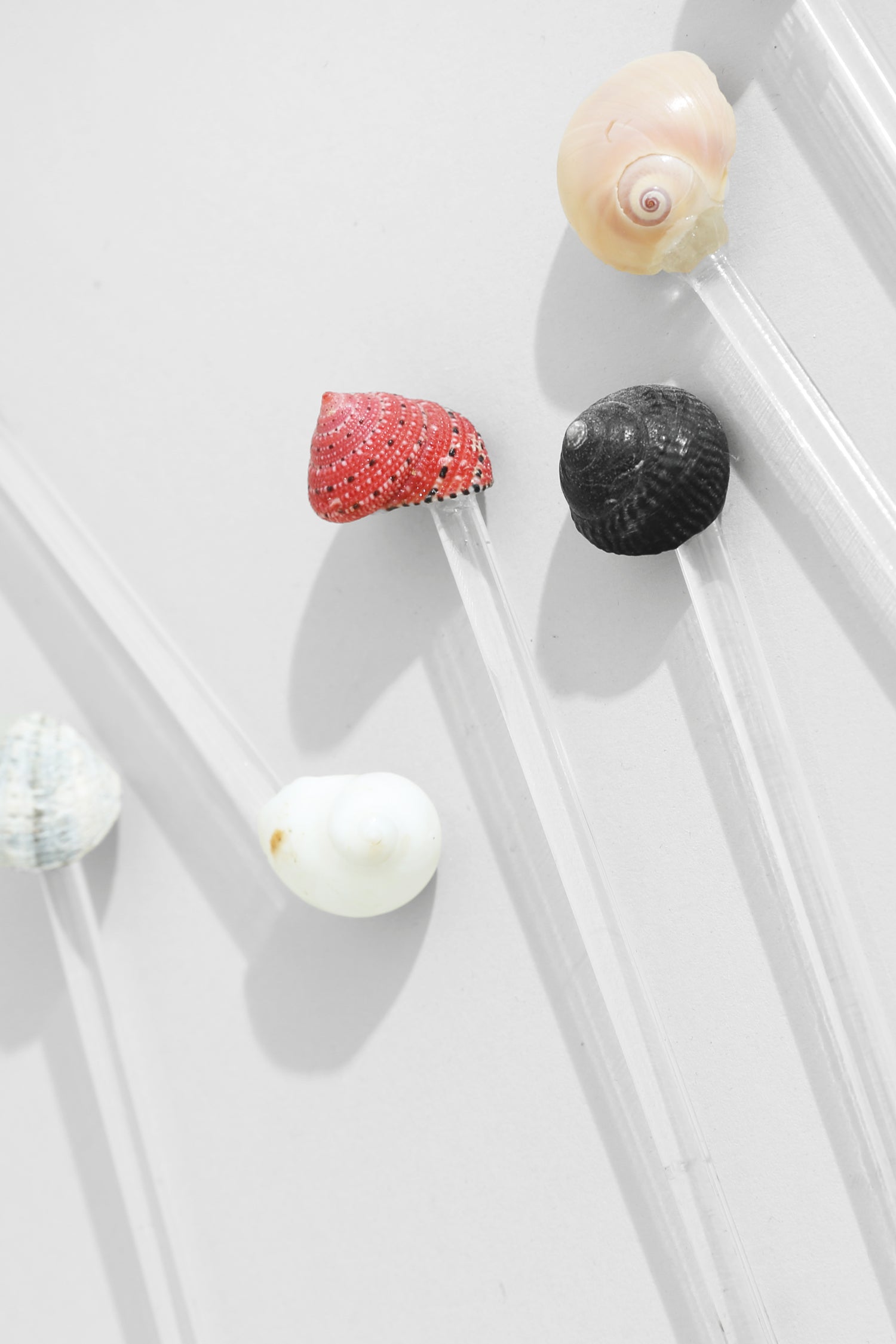 Shell Swizzle Set
