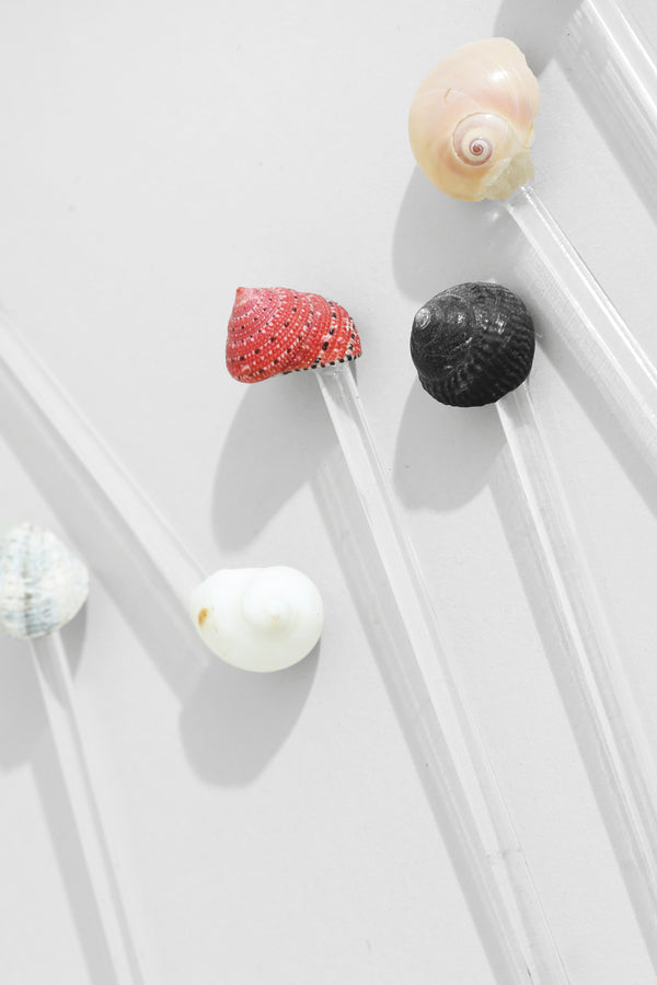Shell Swizzle Set