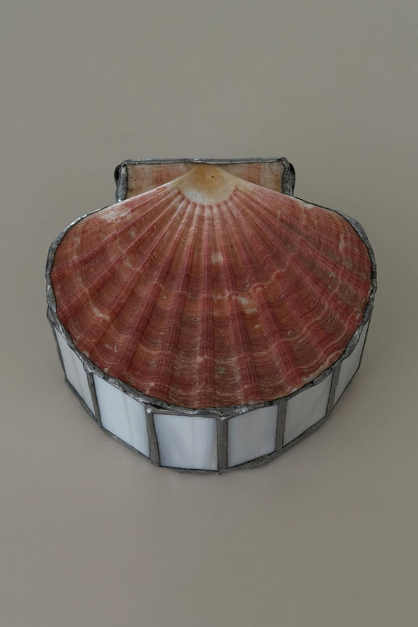 Scallop Shell Jewelry Box