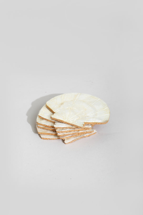 Shell Coaster Set