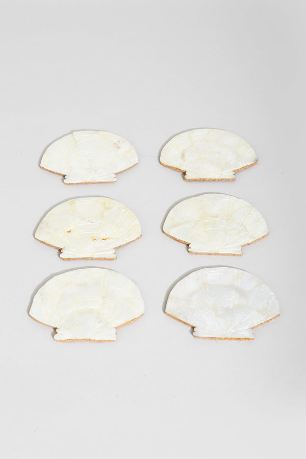 Shell Coaster Set