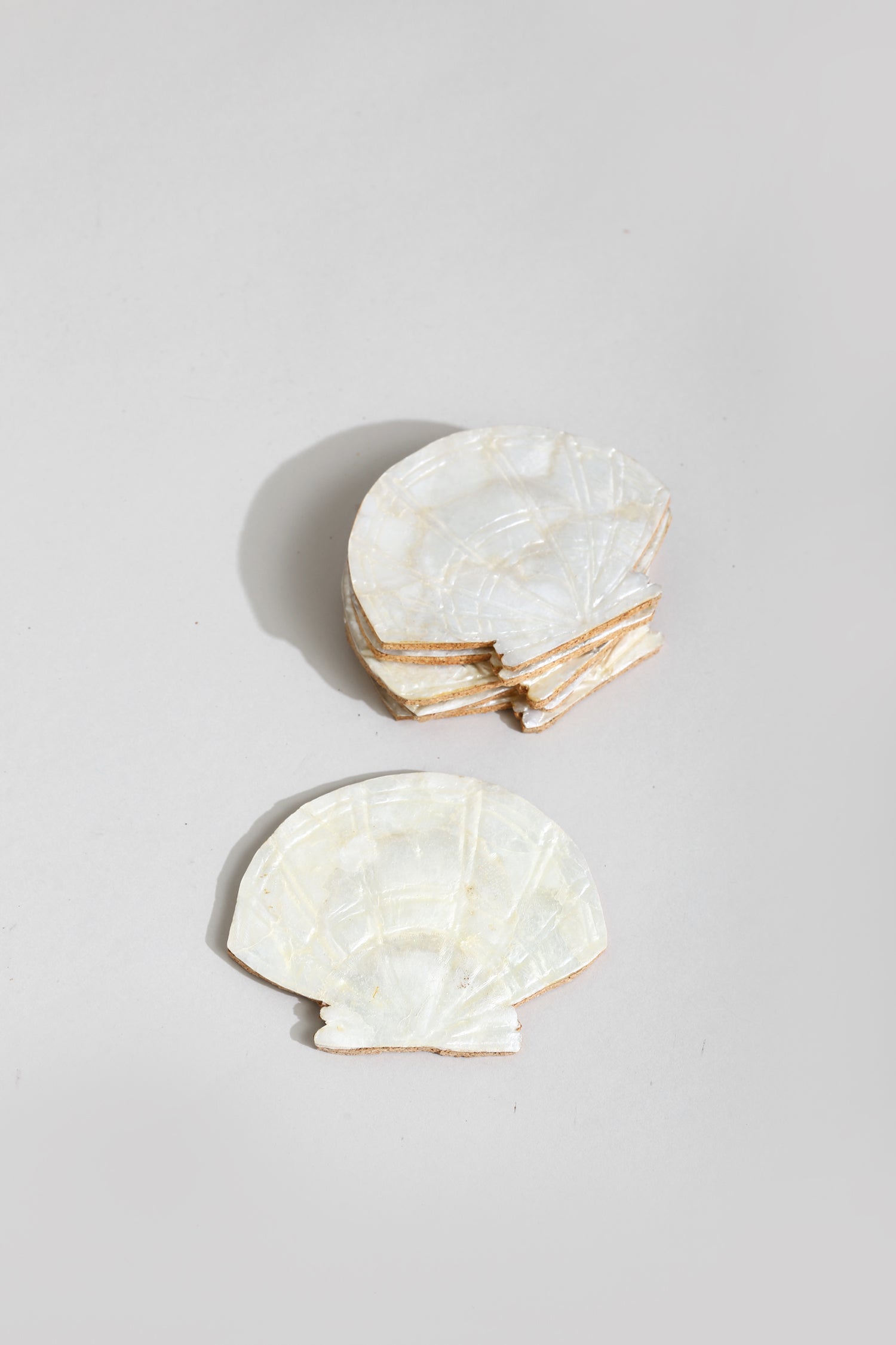 Shell Coaster Set