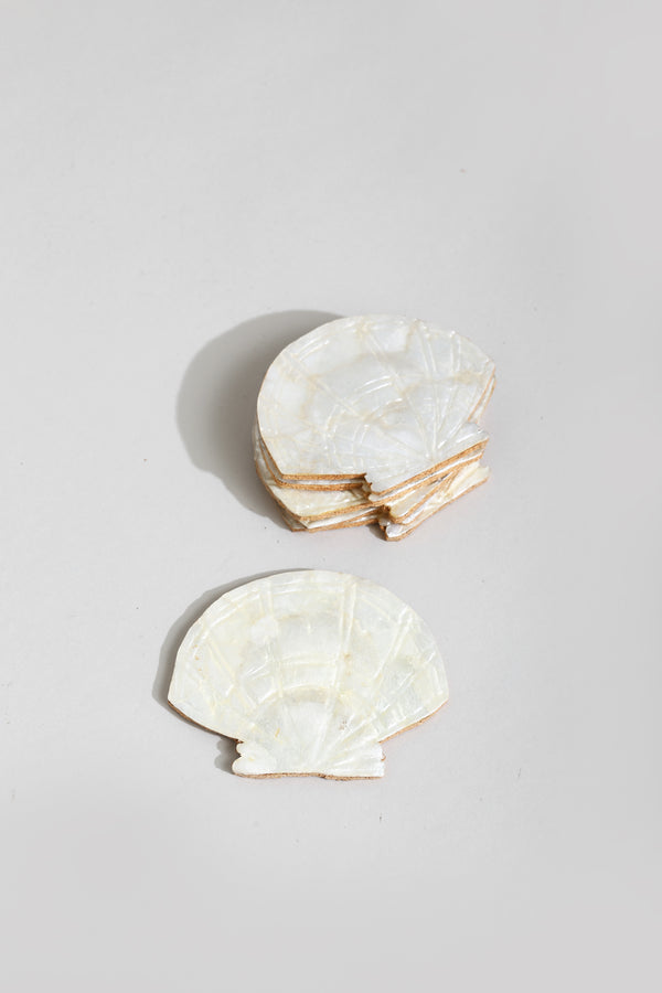 Shell Coaster Set