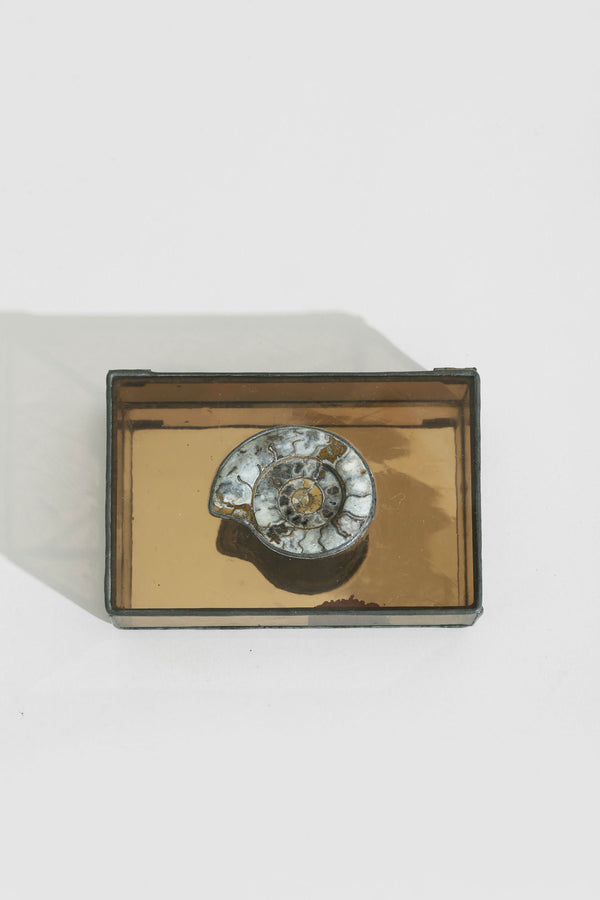 Shell + Glass Jewelry Box