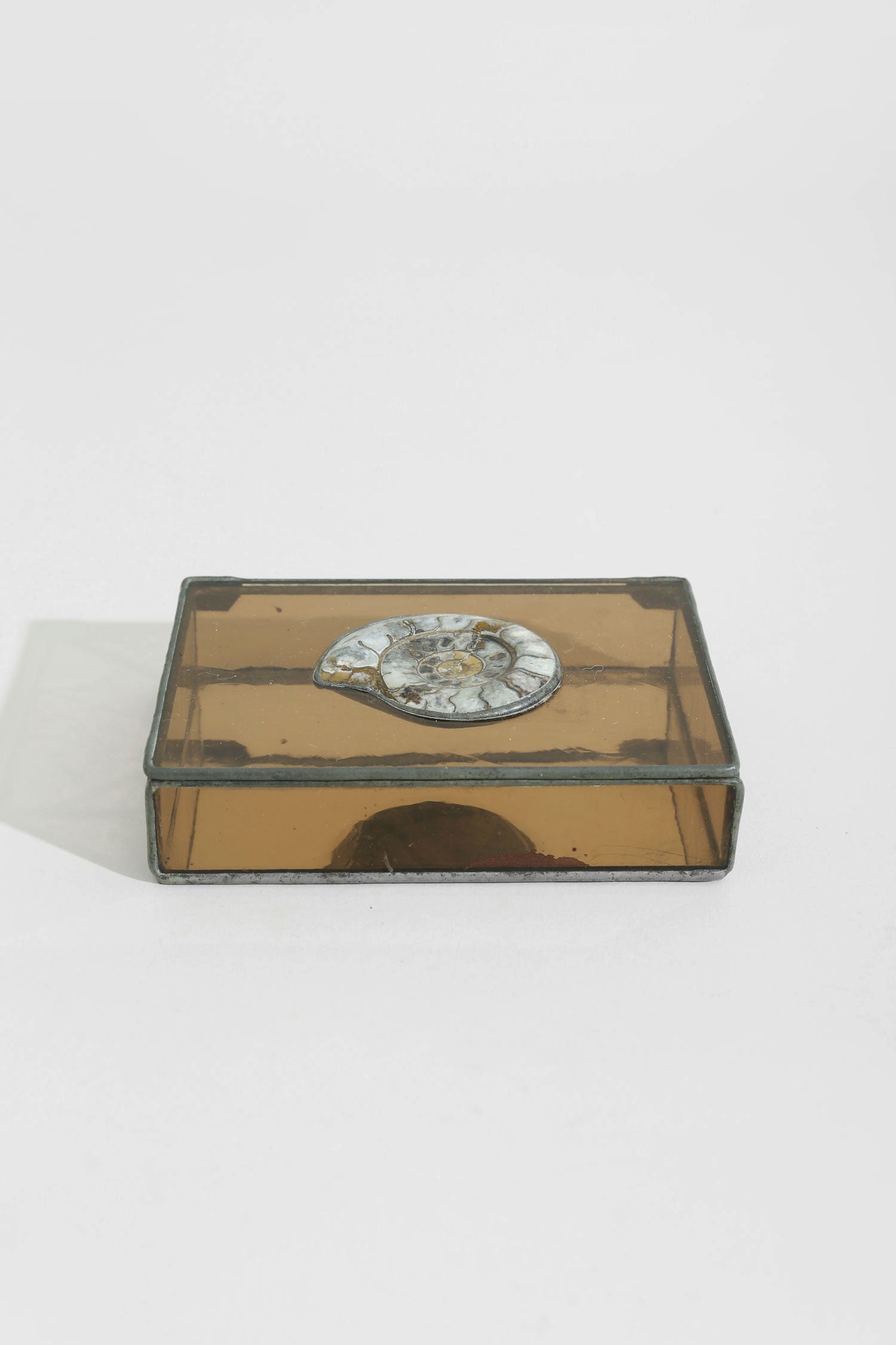 Shell + Glass Jewelry Box