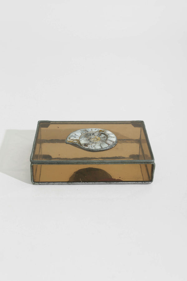 Shell + Glass Jewelry Box