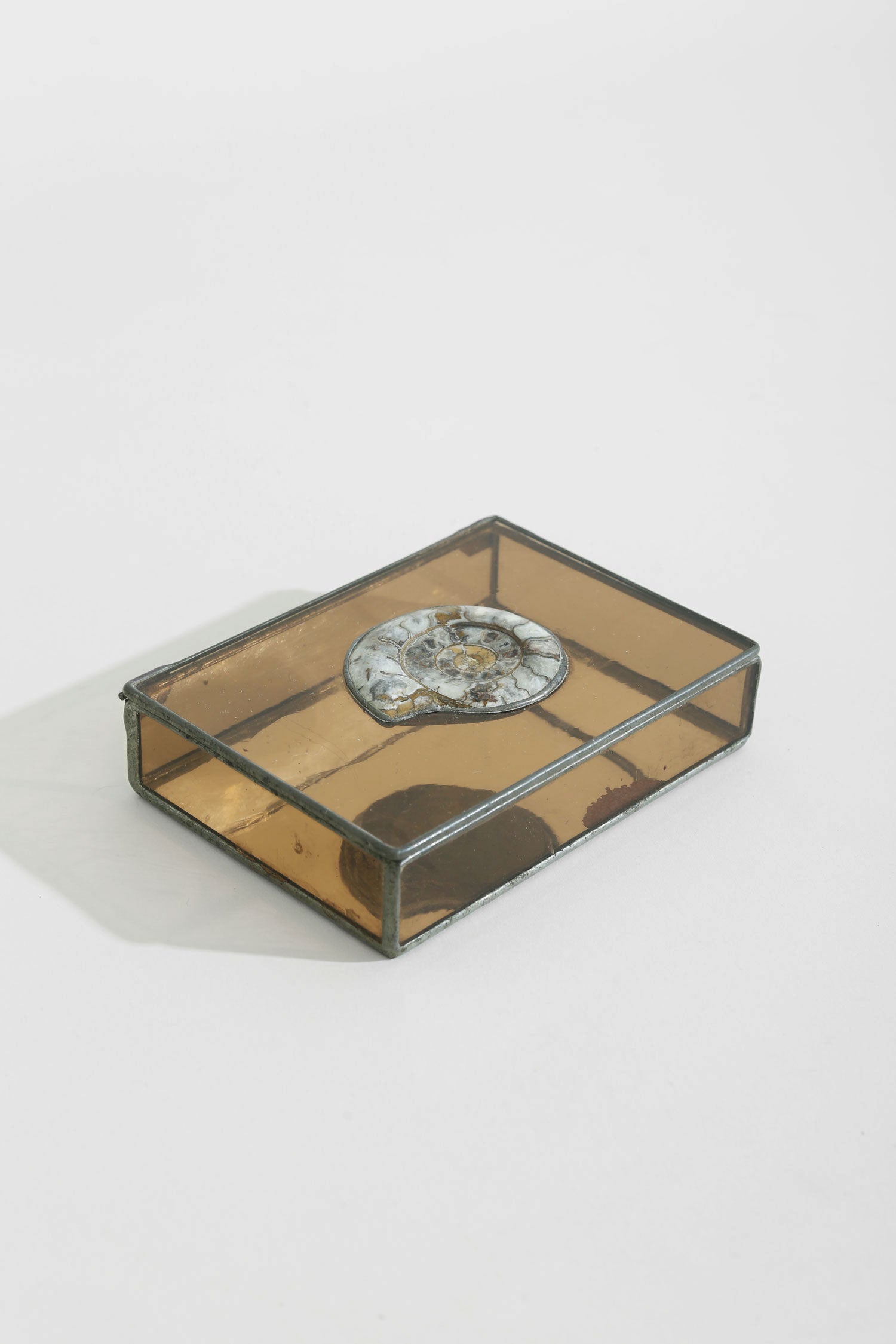 Shell + Glass Jewelry Box