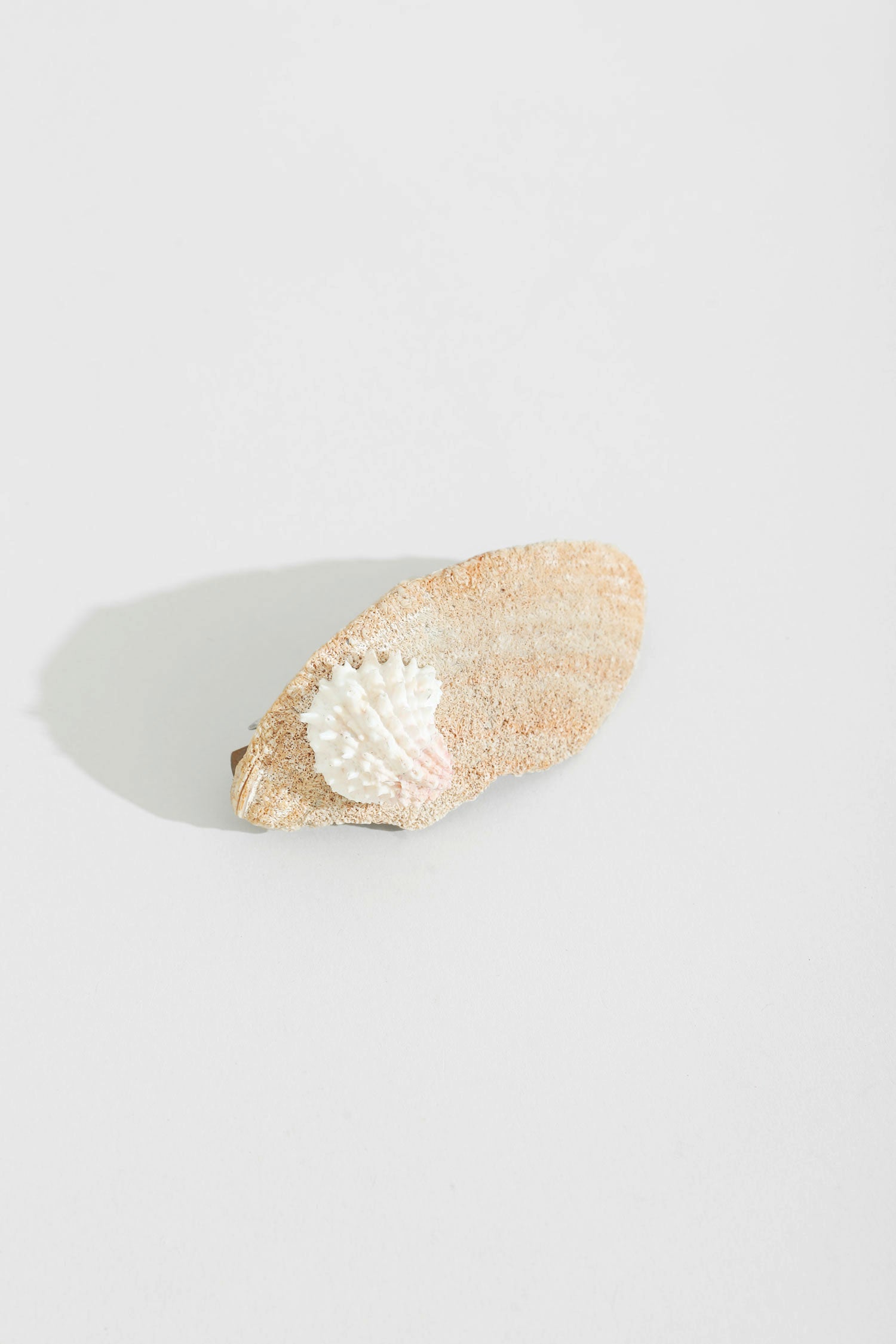 Shell Barrette