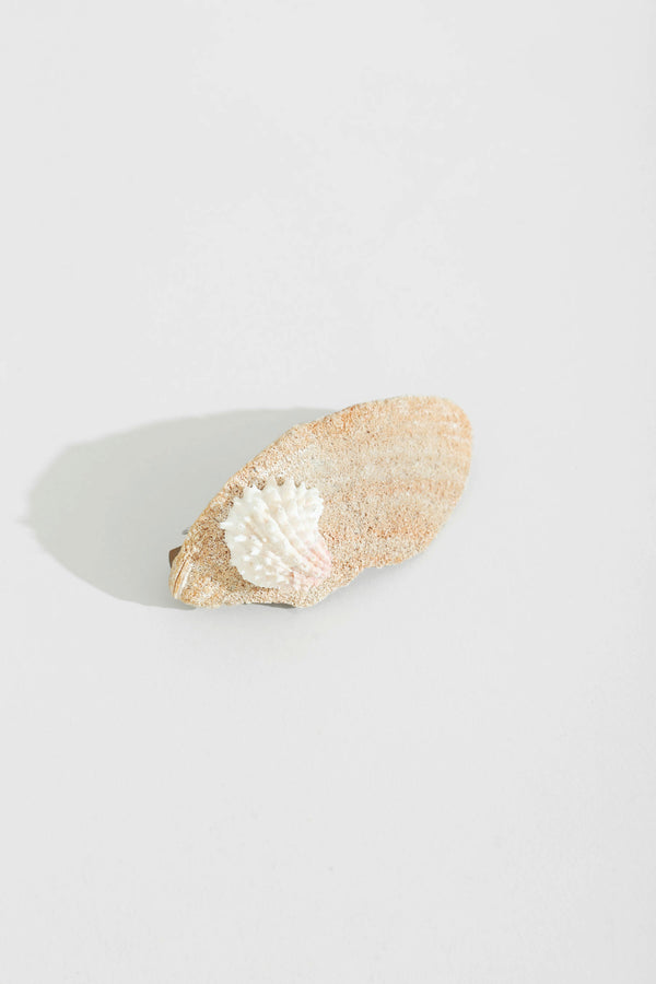 Shell Barrette