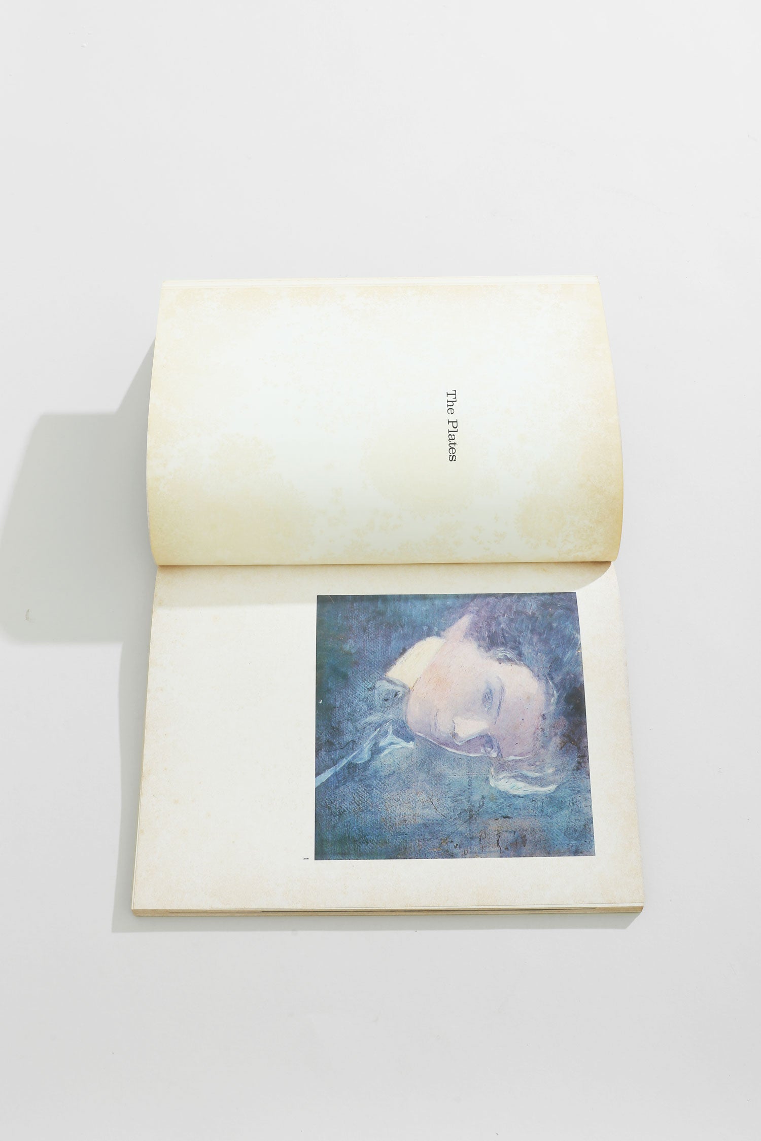 Egon Schiele Book