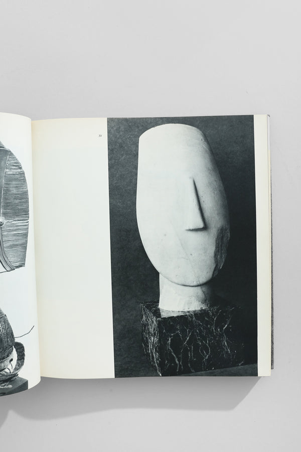 Modern Sculpture Book