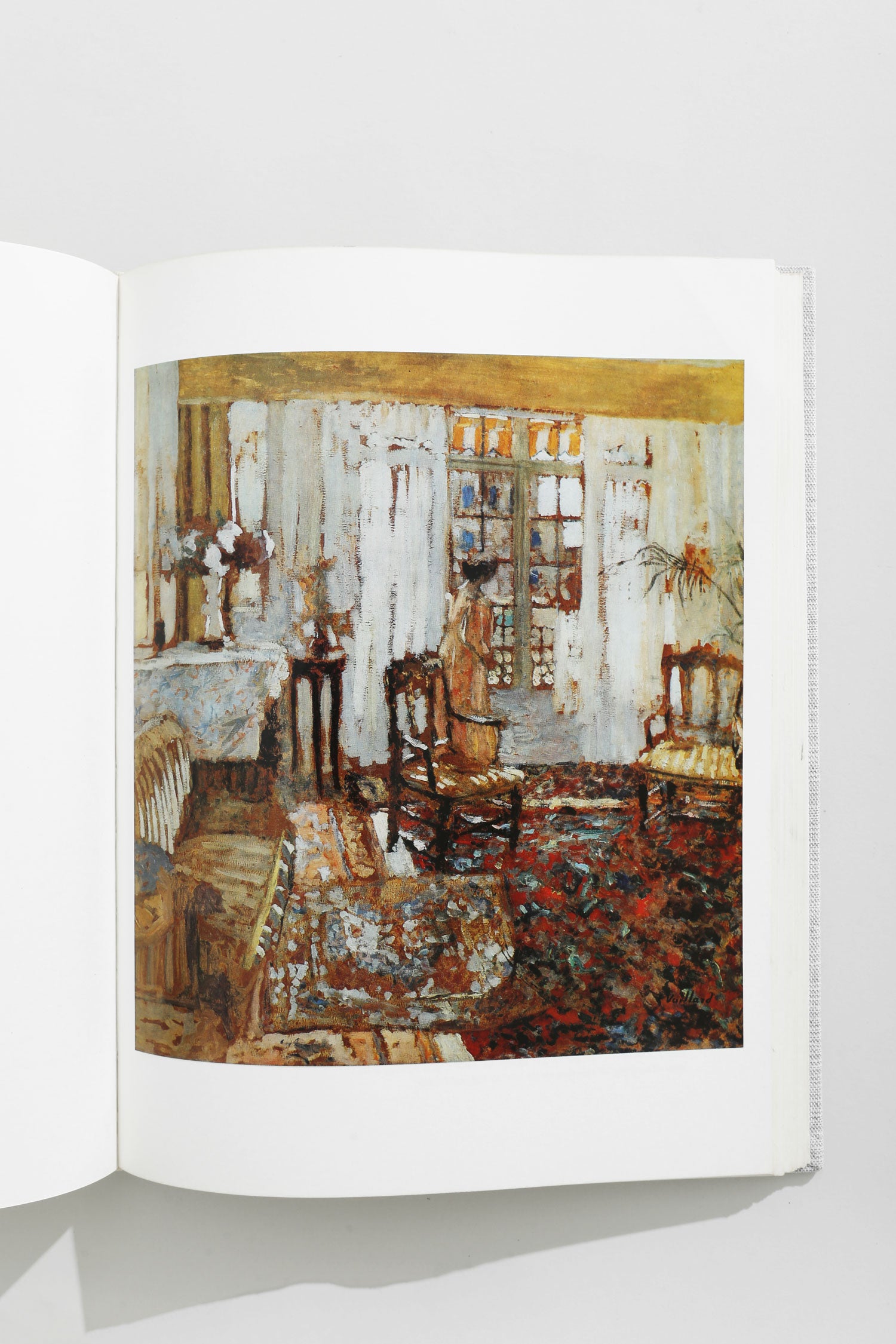 Vuillard Book