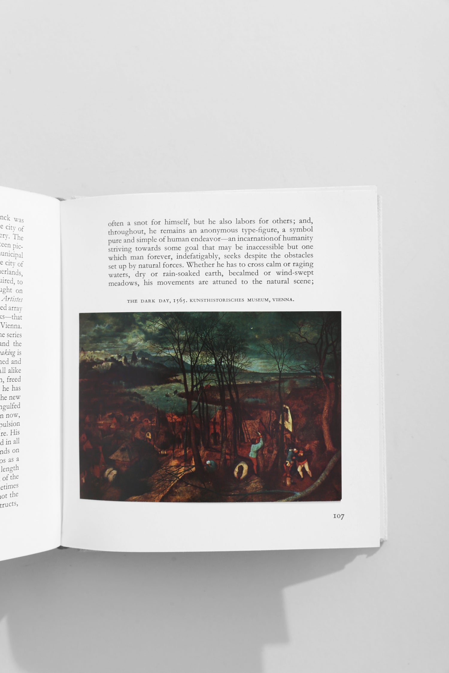 Bruegel Book