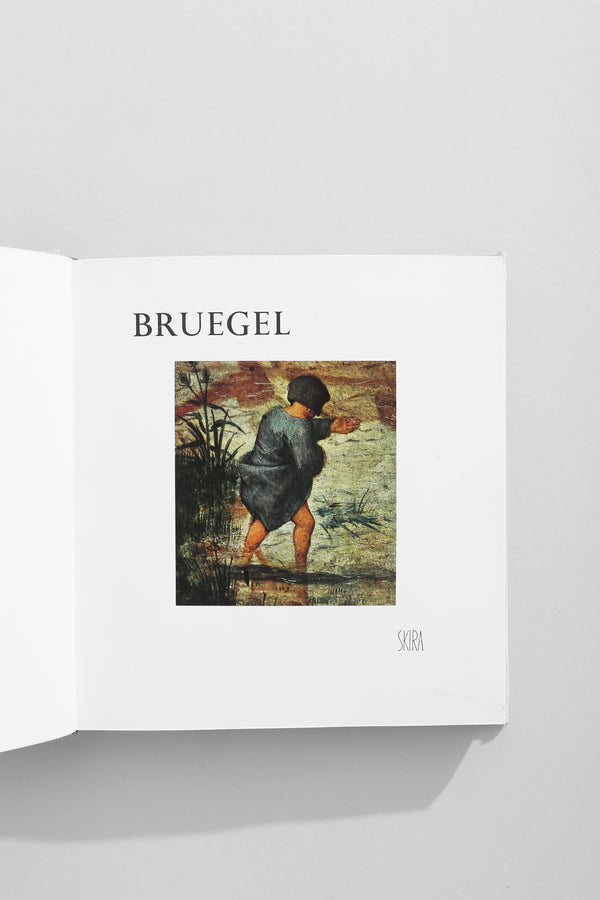 Bruegel Book