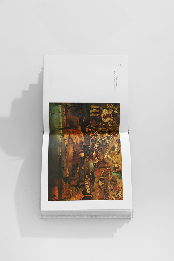 Bruegel Book