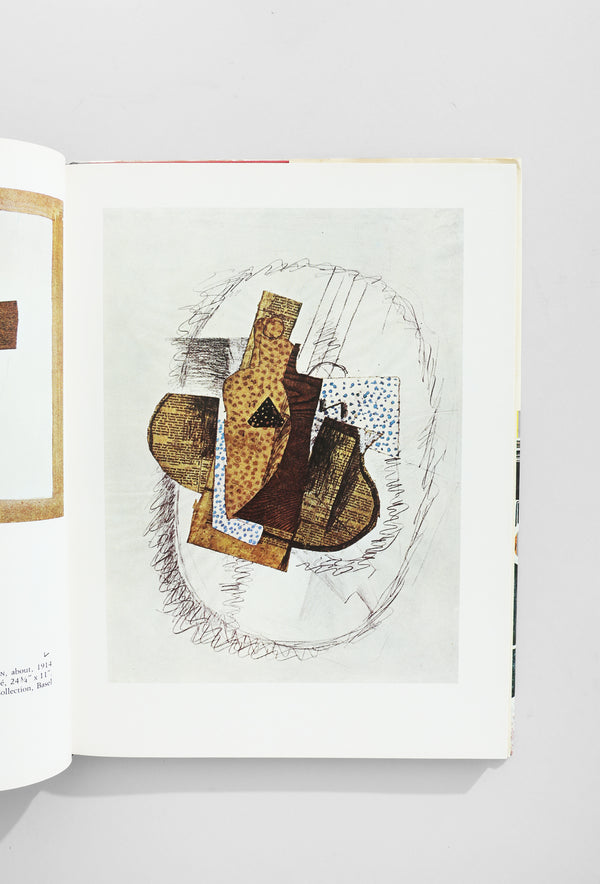 Braque Book