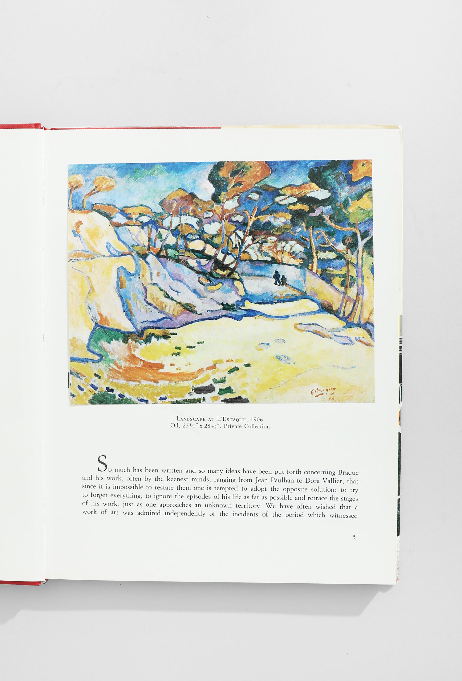 Braque Book