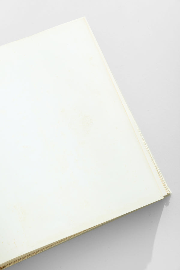 Picasso's Picassos Book