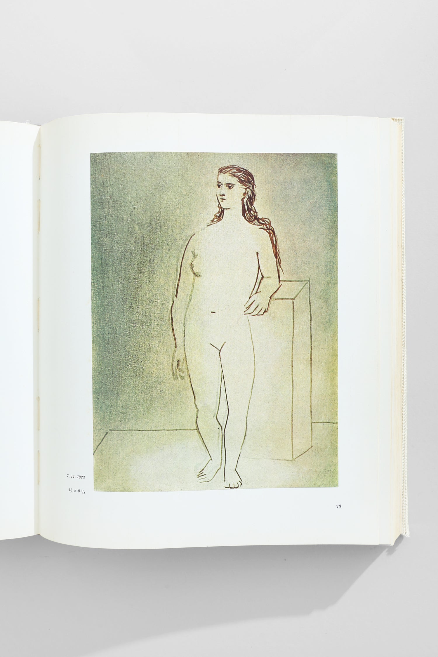 Picasso's Picassos Book