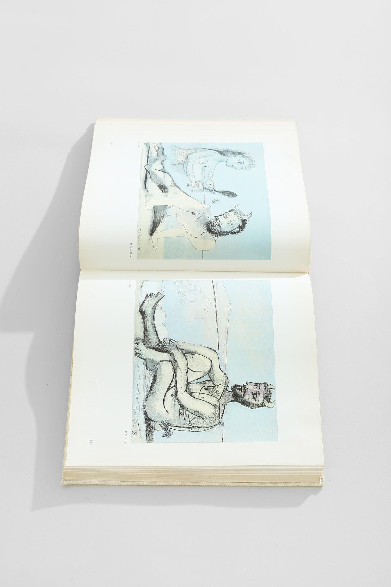 Picasso's Picassos Book