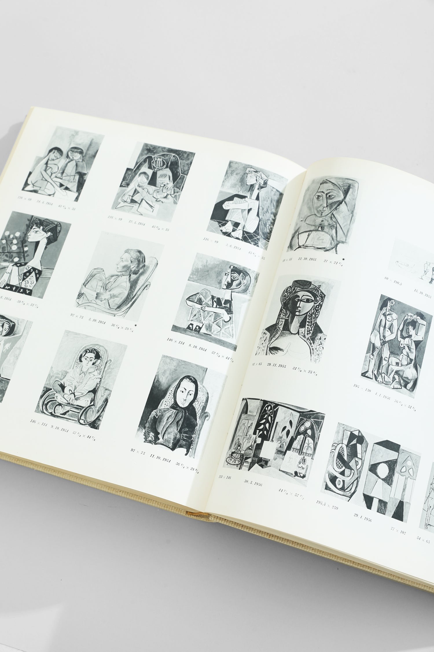 Picasso's Picassos Book